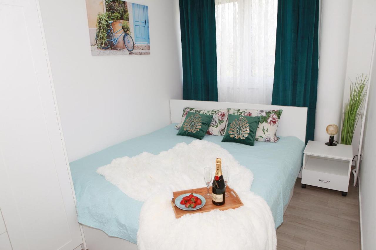 Apartman Lucija 卡尔洛瓦茨 外观 照片