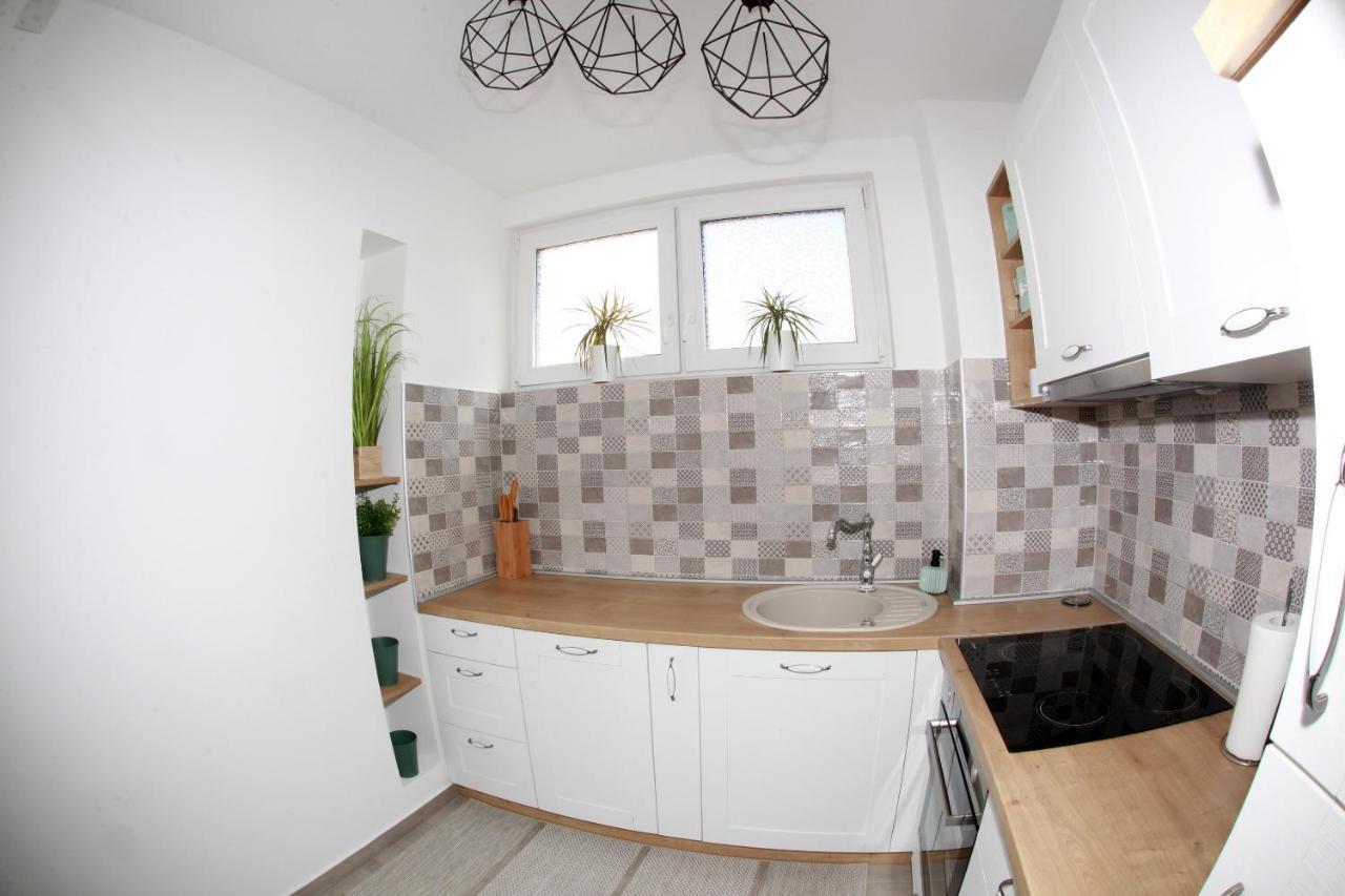 Apartman Lucija 卡尔洛瓦茨 外观 照片